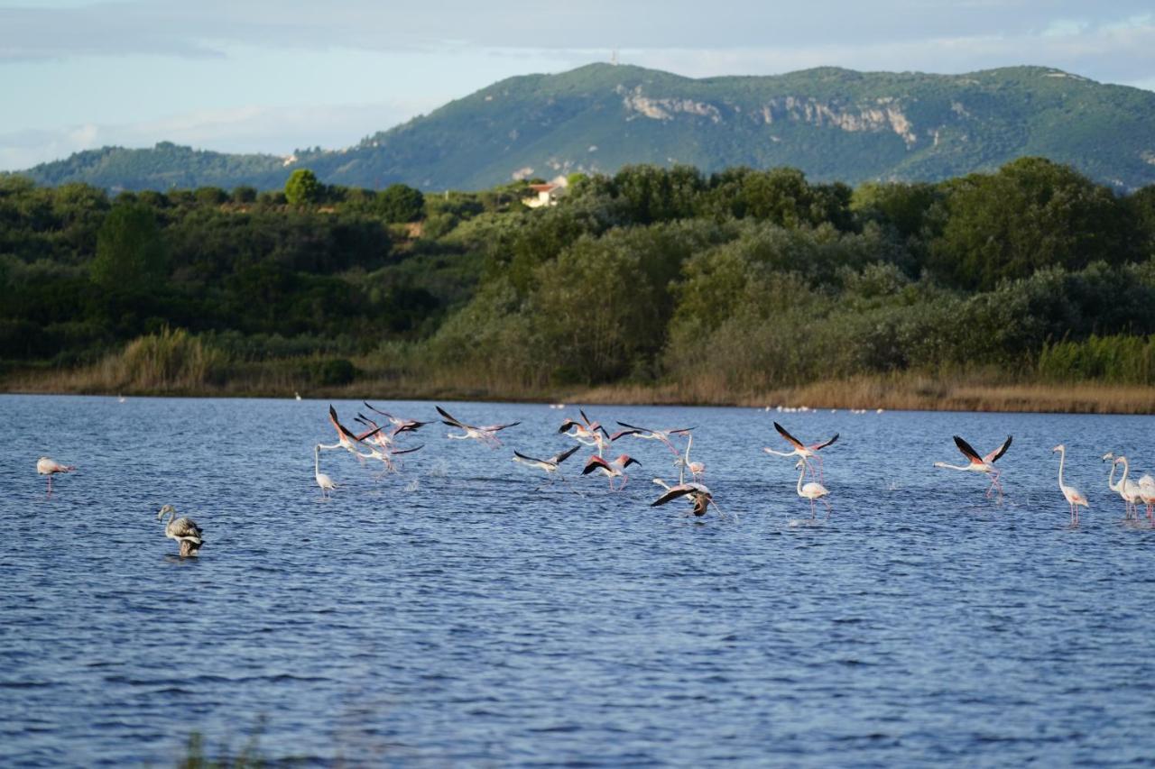 Stefanias Prasoudi Beach Άγιος Ματθαίος Εξωτερικό φωτογραφία